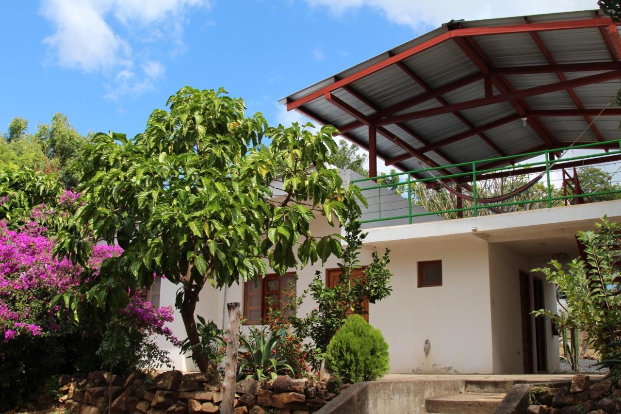 Hotel Brio El Gigante Exterior photo
